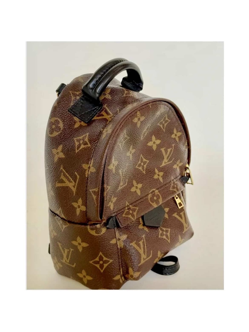 Louis Vuitton Monogram mini palm spring Backpack